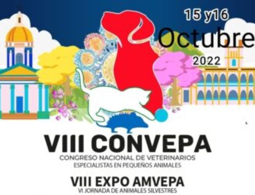 CEDIVEP: toda la información, en un solo lugar!