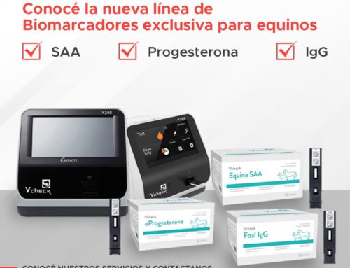 Nueva Línea de Biomarcadores Exclusivos para Equinos