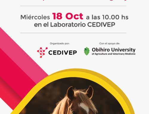 Primer Seminario de Equinos sobre Enfermedades Ocasionadas por Hemoparásitos en Paraguay.