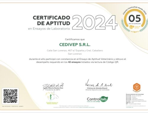 Certificación de Calidad Internacional 2024