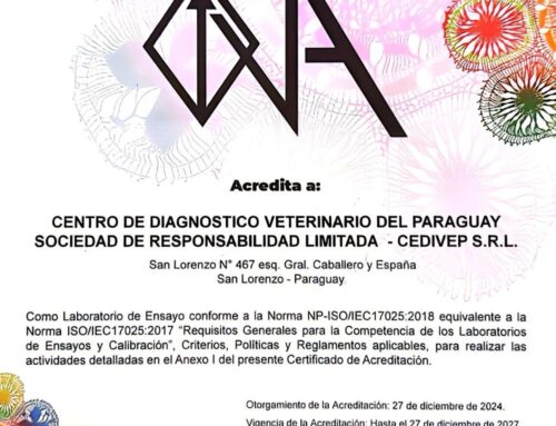 Certificación ISO 17025: Compromiso con la Calidad
