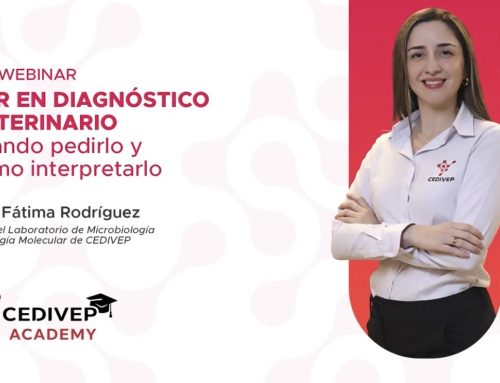 CEDIVEP ACADEMY- 1er Webinar