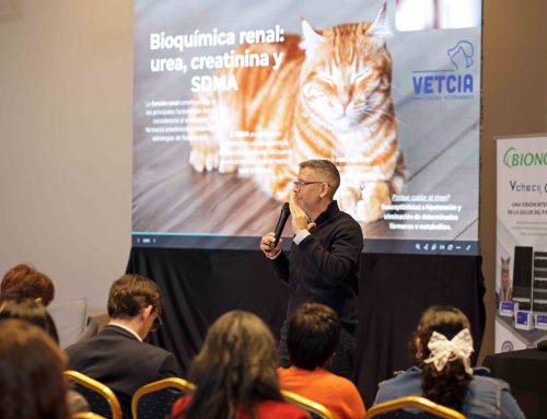 CEDIVEP ACADEMY «Del laboratorio al quirófano»